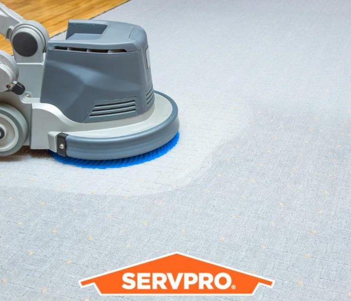 Carpet cleaning for your business